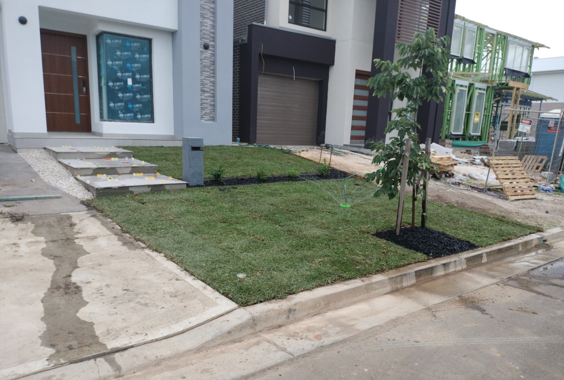 New front yard on a Blacktown new build: fresh turf, a young tree in a mulched bed and concrete steps up to the door