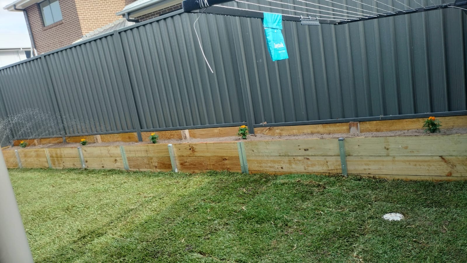 Timber sleeper retaining wall along a grey Colorbond fence with marigolds planted along the top and fresh turf in front