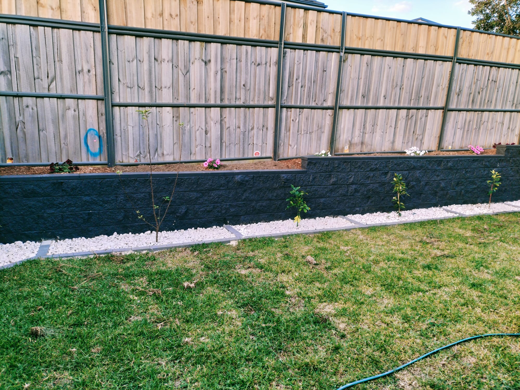Dark retaining wall with a new garden bed planted along a timber back fence, fresh turf in front